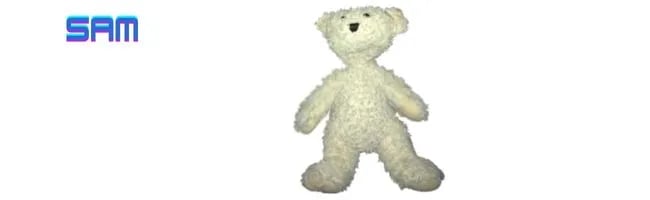 Sam